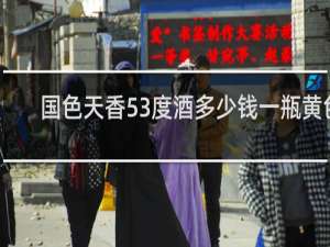 国色天香53度酒多少钱一瓶黄色