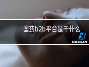 国药b2b平台是干什么