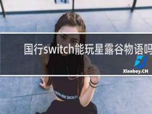 国行switch能玩星露谷物语吗