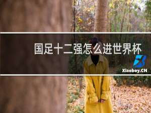 国足十二强怎么进世界杯