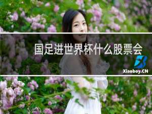 国足进世界杯什么股票会涨