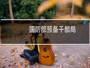 国防部预备干部局