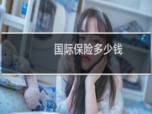 国际保险多少钱