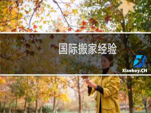 国际搬家经验