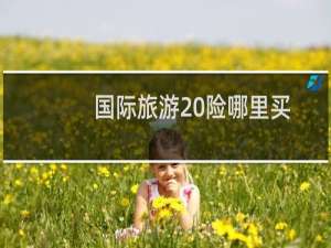 国际旅游 险哪里买