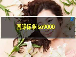 国际标准iso9000