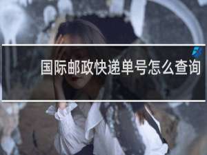国际邮政快递单号怎么查询