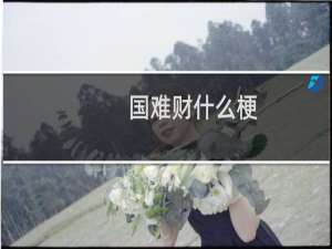 国难财什么梗