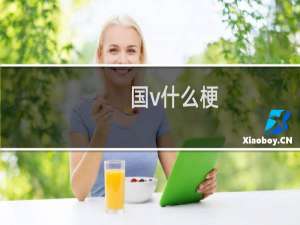 国v什么梗