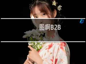图啊B2B
