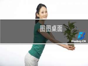 【图图桌面】免费图图桌面软件下载