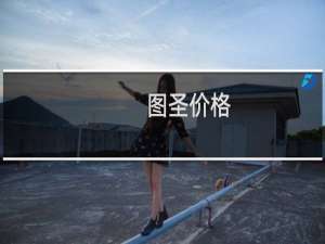 图圣价格