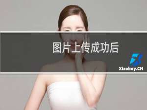 图片上传成功后，整体不能提交成功
