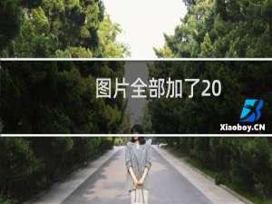 图片全部加了 .img.800cdn.com 导致打不开