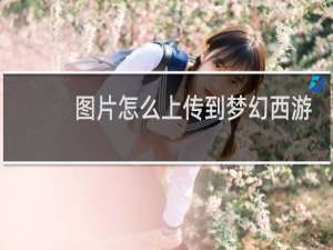 图片怎么上传到梦幻西游