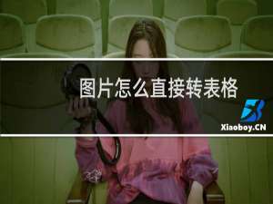 图片怎么直接转表格（图片形式的表格可以转换为表格吗）