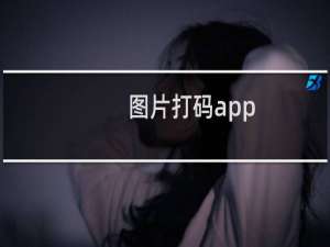 图片打码app