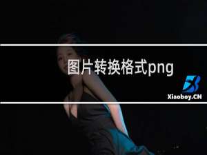图片转换格式png（图片转换格式）