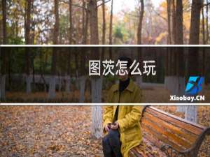 图茨怎么玩