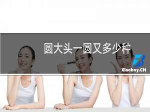 圆大头一圆又多少种