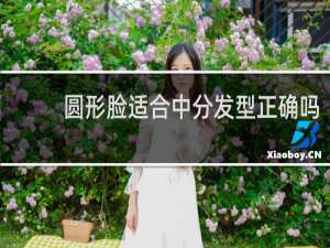 圆形脸适合中分发型正确吗
