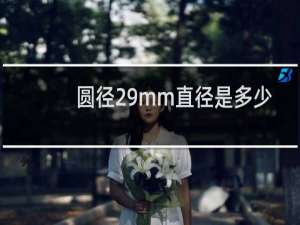 圆径29mm直径是多少