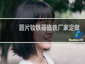 圆片钕铁硼磁铁厂家定做