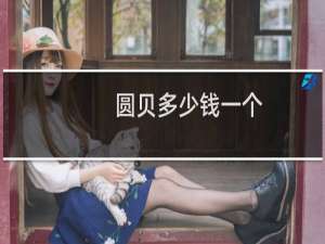 圆贝多少钱一个