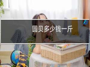 圆贝多少钱一斤