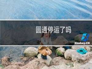 圆通停运了吗