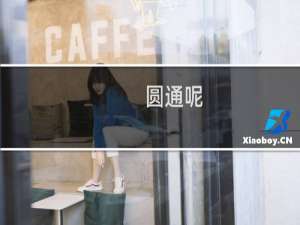 圆通呢
