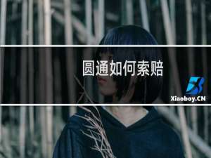 圆通如何索赔