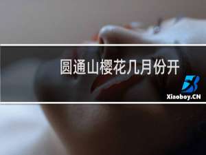 圆通山樱花几月份开