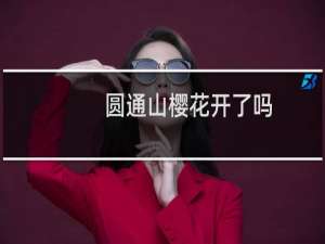 圆通山樱花开了吗
