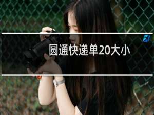 圆通快递单 大小