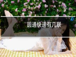 圆通快递有几联