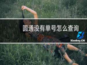 圆通没有单号怎么查询