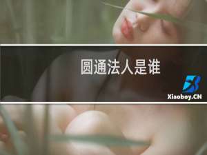 圆通法人是谁