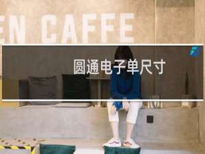圆通电子单尺寸