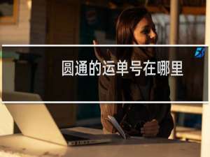 圆通的运单号在哪里