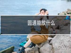 圆通能放什么