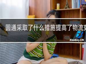 圆通采取了什么措施提高了物流效率