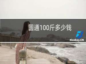 圆通100斤多少钱