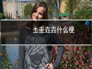 土圭垚壵什么梗