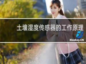 土壤湿度传感器的工作原理