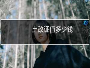 土改证值多少钱