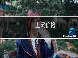 土沉价格