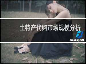 土特产代购市场规模分析
