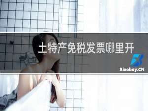 土特产免税发票哪里开