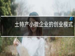 土特产小微企业的创业模式